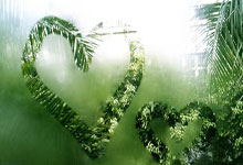 武汉养生之旅特色满满，东湖绿道、黄鹤楼公园等好去处等你来