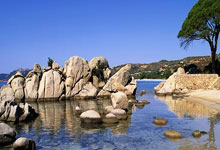 武汉养生之旅特色满满，东湖绿道、黄鹤楼公园等好去处等你来