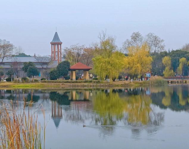 武汉休闲好去处？朋友亲身经历分享，助你轻松找到优质服务场所