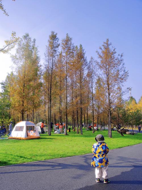 武汉友人小陈深陷职业倦怠？东湖绿道助其重寻平衡