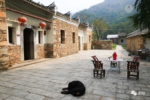 武汉休闲效果好不好_武汉休闲效果好不好_武汉休闲效果好不好